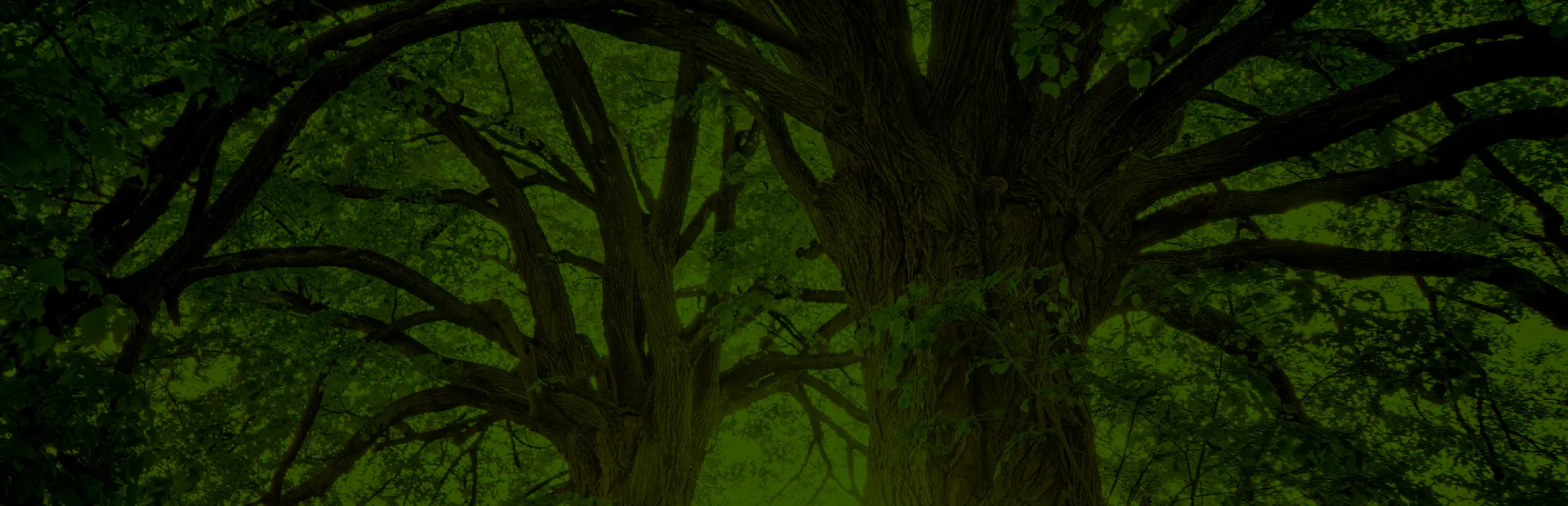 General breadcrumb hero